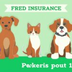 Pet Insurance